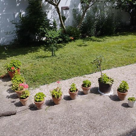 Paprika Vendeghaz Hotell Harkány Exteriör bild